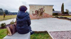 El �rea perinatal del cementerio lucense de San Froil�n