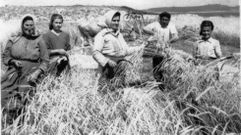 Foto hist�rica de un campo de centeno en A Lanzada, Noalla, Sanxenxo.
De izquierda a derecha: Silvestra Touri�o Pombo, Elisa Touri�o V�zquez, Carmen V�zquez Otero, Marcial Touri�o Pombo, Carmen Touri�o V�zquez