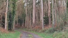 Uno de los caminos municipales de Cedeira que se van a reparar