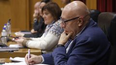 Xos� Carlos Valc�rcel, en el pleno de la Diputaci�n ourensana.
