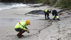 Recogida de p�lets�en las playas de la costa gallega