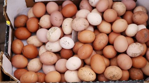 La Feira do Galo celebra este 2025 su 34.� edici�n con limitaciones por la gripe aviar