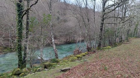 R�o Riocaldo, Lobios.