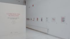 La obra de Miguel Mosquera que ilustra el libro �Chronicon Auriensis�. alejandro camba