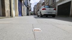 Una de las u�as de gato de la R�a Nova