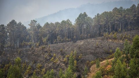 Zona quemada entre Vilar y Paradellas, Vilaboa