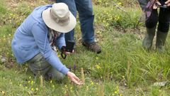 Participantes en una visita guiada a las microrreservas de orqu�deas de O Courel