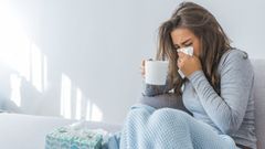 La baja media por un constipado en Alemania es de 4 d�as frente a los 20 de Espa�a, seg�n los expertos