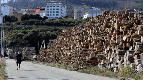 Madera de eucalipto apilada en el puerto de Burela.