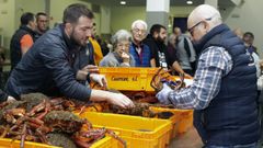 Arranca la temporada de la centolla en Galicia