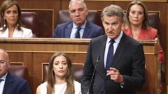 El l�der del PP, Alberto N��ez Feijoo, interviene durante la sesi�n de control en el Congreso de los Diputados.