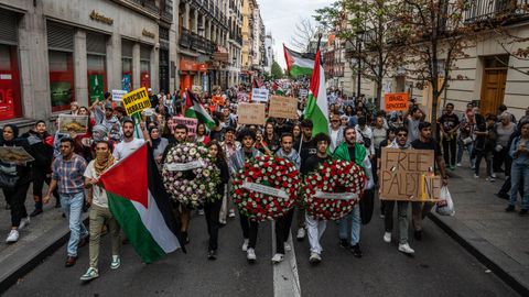 Imagen de la manifestaci�n en apoyo a Palestina que tuvo lugar el domingo en Madrid.
