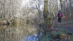 Parte de la ruta de senderismo en el monte Segade.