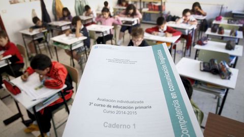 En el colegio Galaxia de Ribeira acudieron casi todos los alumnos de tercero de Primaria.