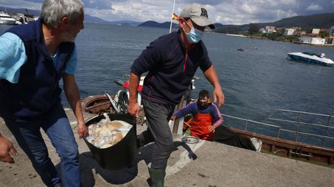Naseiros descargando pulpo meses atrás en Bueu, uno de los puertos de referencia del octópodo en Galicia