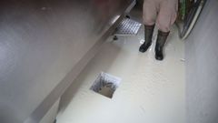 Algunos ganaderos tuvieron que tirar su leche�tras negarse a firmar unos contratos que les rebajaba el precio de la leche