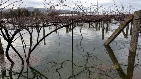 El r�o Umia baja por fuera de su cauce en casi toda la comarca