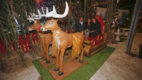 Navidad en Viveiros O Pi�eiro