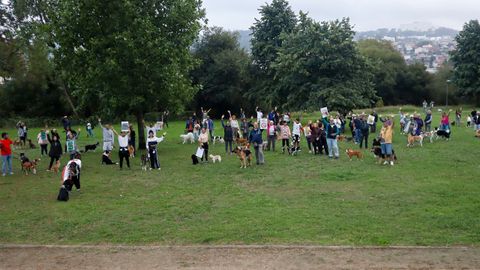Vecinos&nbsp;de Barreiro con perros se oponen al parque canino que proyecta el Concello
