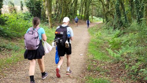 Peregrinos en el Camino Ingl&eacute;s, en una imagen de archivo
