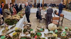 Foto de archivo de la semana micol�gica de Os Cogordos.