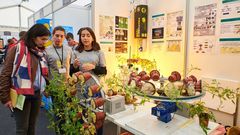 La edici�n pasada de Galiciencia 