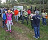 Un nutrido grupo de participantes realiz� la ruta en bicicleta. 