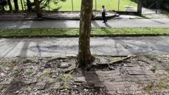 El abandono del entorno del estadio de San L�zaro