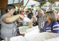Lourenz� tiene otra cita importante dentro de pocos d�as, del 2 al 4 de octubre, en la Festa da Faba. 