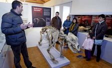 R�plica dun esqueleto de oso das cavernas nunha das salas do museo quirogu�s.