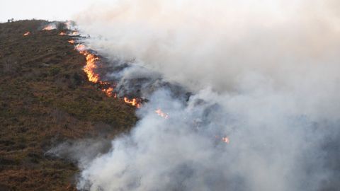 Incendio forestal en Abla�a