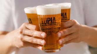 Lupia nace con el prop&oacute;sito de recuperar y poner en valor el cultivo del l&uacute;pulo en Galicia.