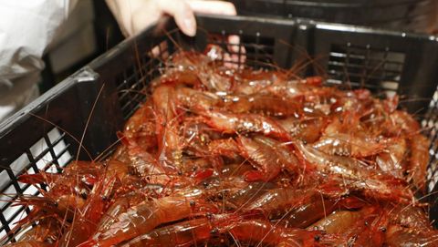 Venta de marisco y pescado en el mercado de Carballo