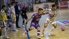 Los blancos quieren resarcirse tras caer contra el Palma Futsal.