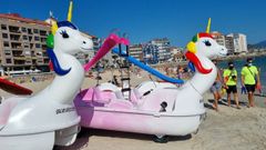 Las padaletas con dise�o de unicornios en la playa de Silgar, en Sanxenxo