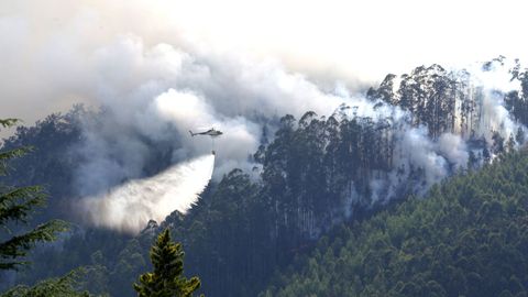 En el operativo de extinci�n del incendio forestal de Merille fueron movilizados tres helic�pteros