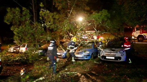 Cae un rbol encima de siete coches en ACEA Da Ama