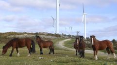 Parque e�lico de Forgoselo, en San Sadurni�o