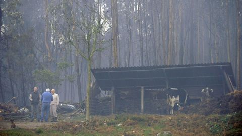 Incendio en Silleda, en la parroquia de Siador