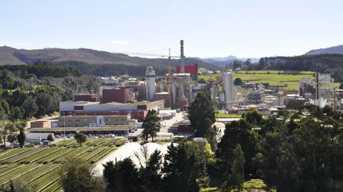 La planta de Ence Navia