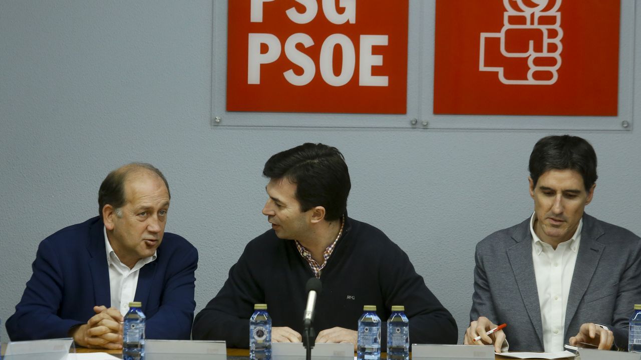 El PSOE gallego se reactiva con un grupo tan renovado como inexperto