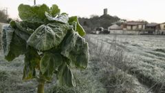 Heladas en el concello de Sandi�s, en Ourense
