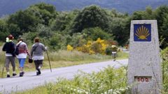 Participantes en un recorrido por el Camino de Invierno cera de Diomondi, en O Saviñao