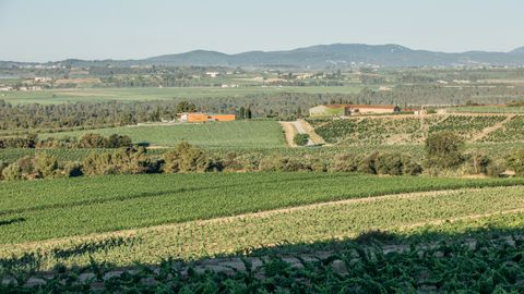 Vi�edo de moneu en Jean Leon (Alt Pened�s)