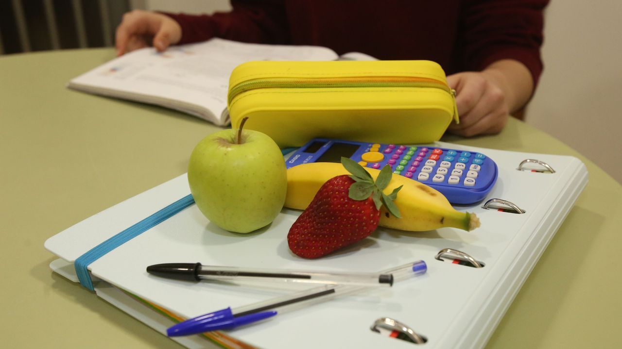 Más de 80.000 alumnos gallegos recibirán fruta, castañas y leche este curso
