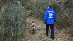 Unidad de Rescate de Cans de Salvamento de Galicia, en imagen de archivo, durante una batida de b�squeda en la comarca.