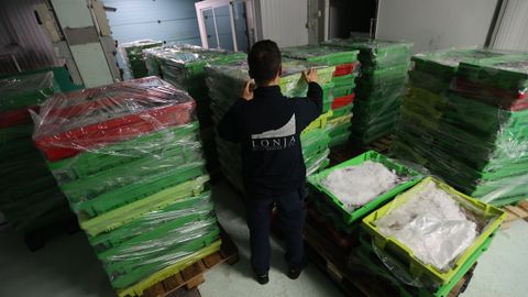 El pescado se acumula en la lonja de A Coru�a