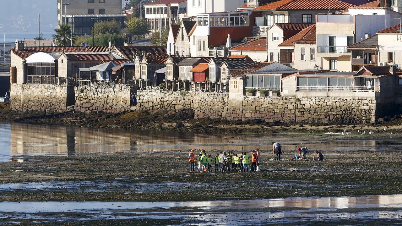 El Camiño do Litoral por Pontevedra: 365,5 kilómetros, quince etapas
