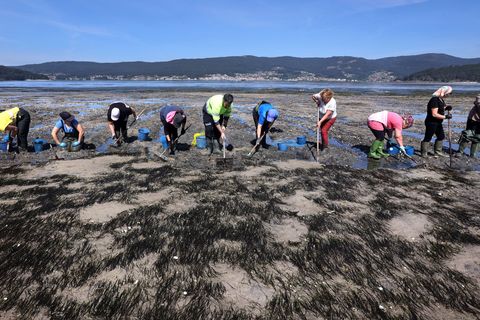 Mariscadoras de Lourizn trabajando en abril del 2024 para mejorar la productividad