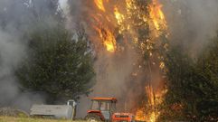 Os incendios de copa son os que m�is rapidamente se extenden dunhas �rbores a outras